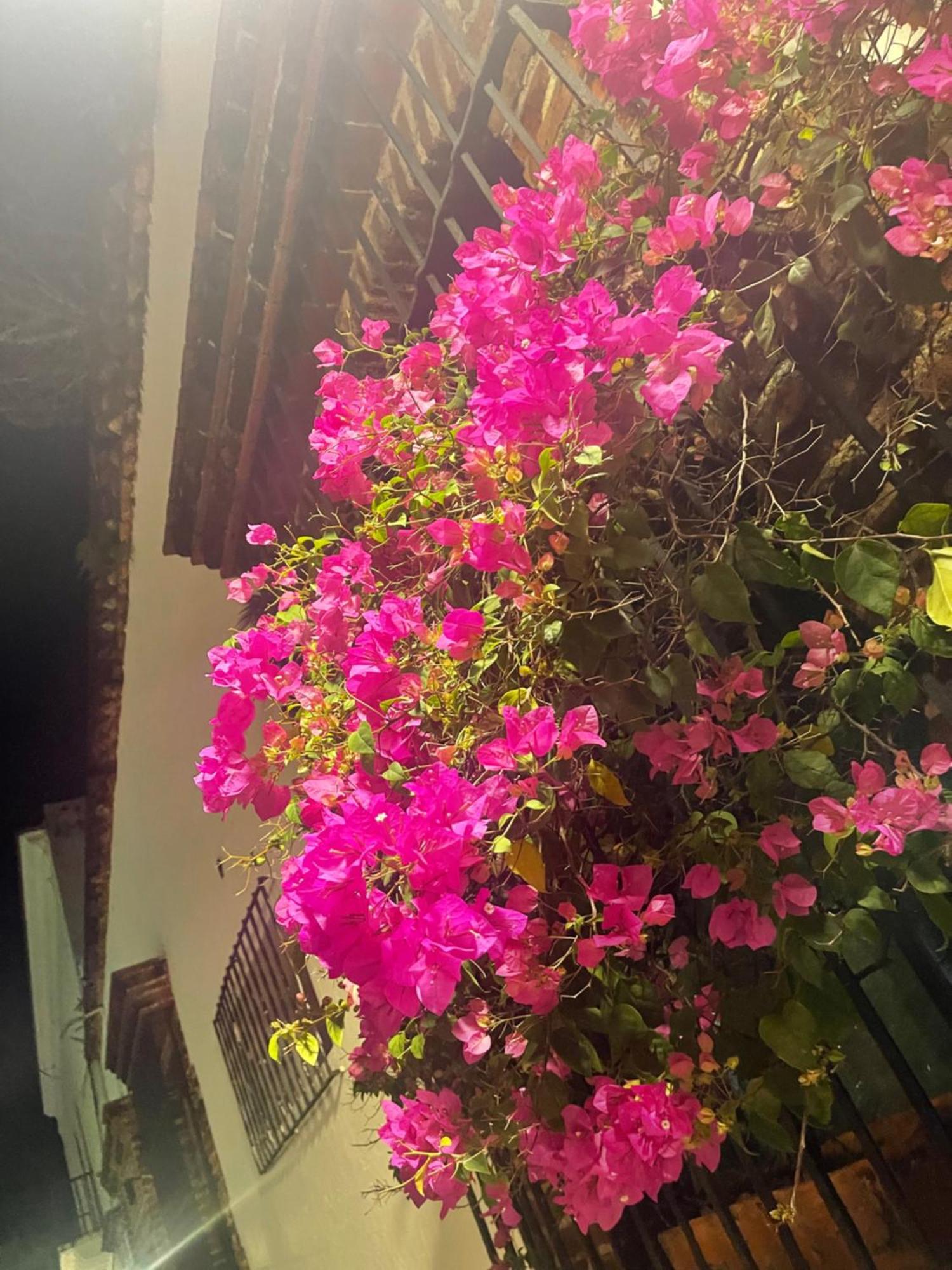 Studio 27 Colonial, Centro Historico Santo Domingo Zewnętrze zdjęcie