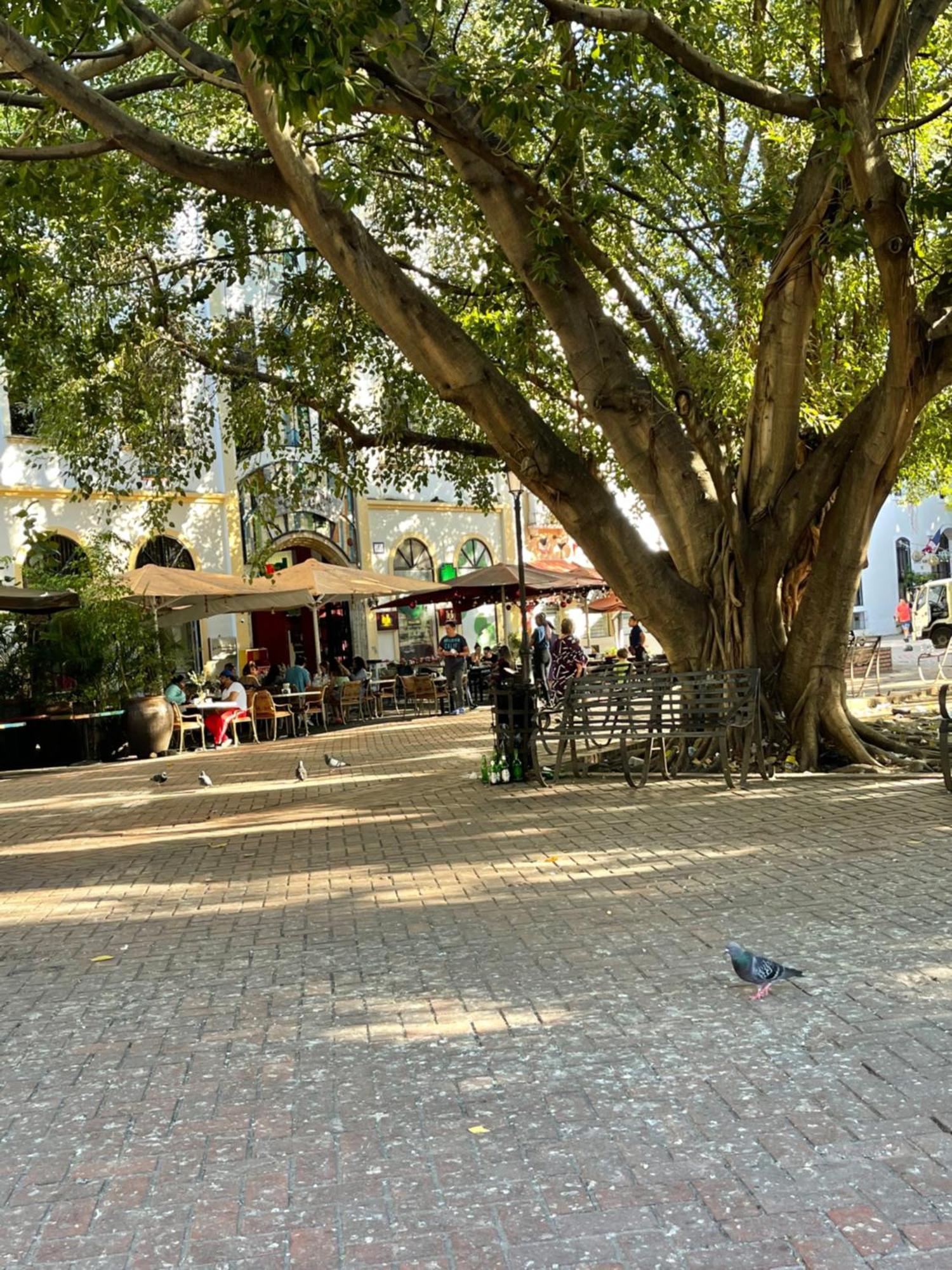 Studio 27 Colonial, Centro Historico Santo Domingo Zewnętrze zdjęcie